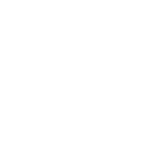 camisapg icon