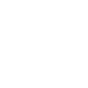camisapg icon