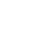 camisapg icon