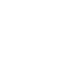 camisapg icon