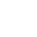 camisapg icon