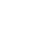 camisapg icon
