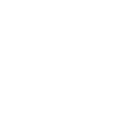 camisapg icon